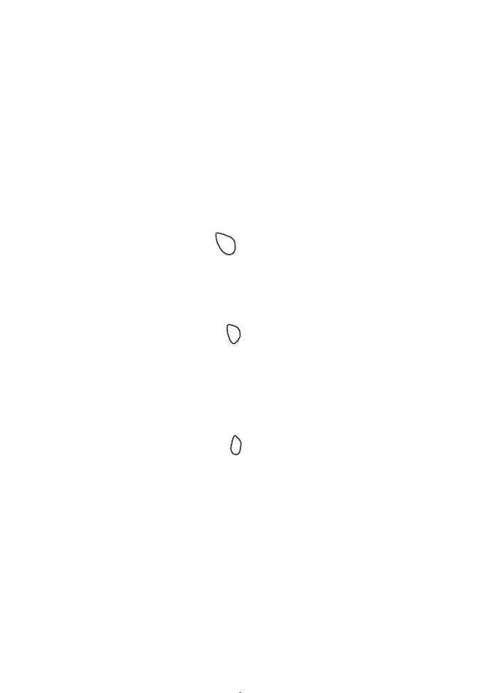 112.jpg