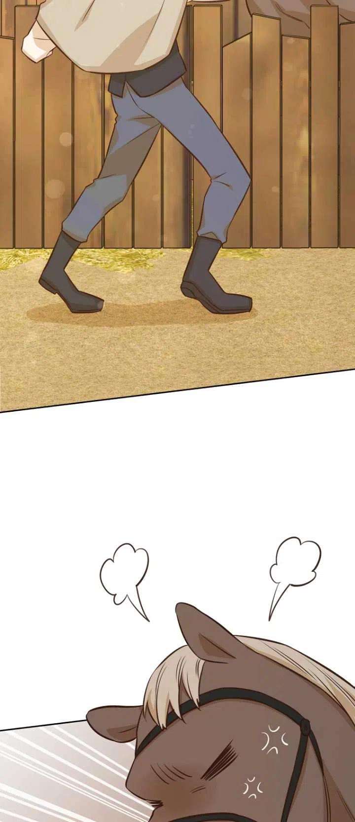 44.jpg