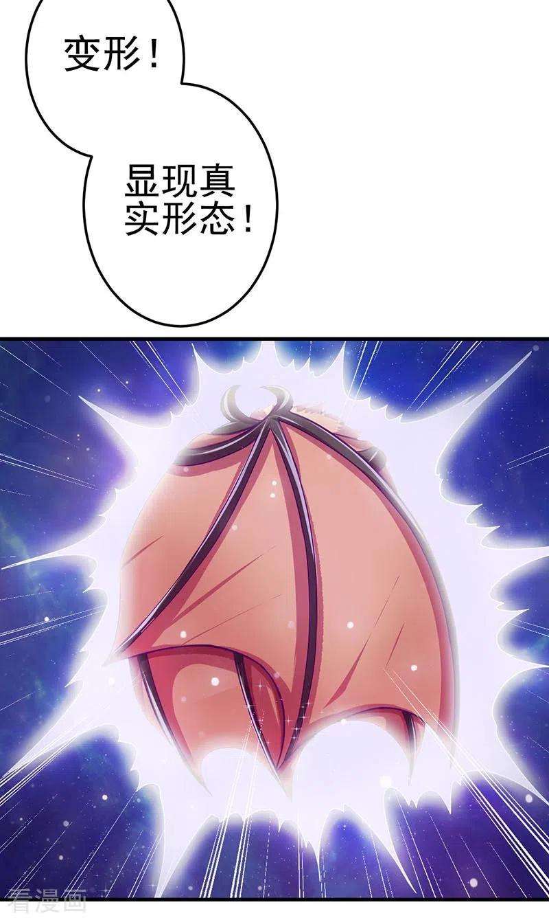 29.jpg