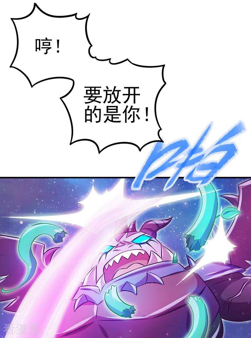 48.jpg