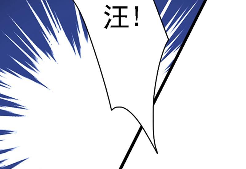 55.jpg