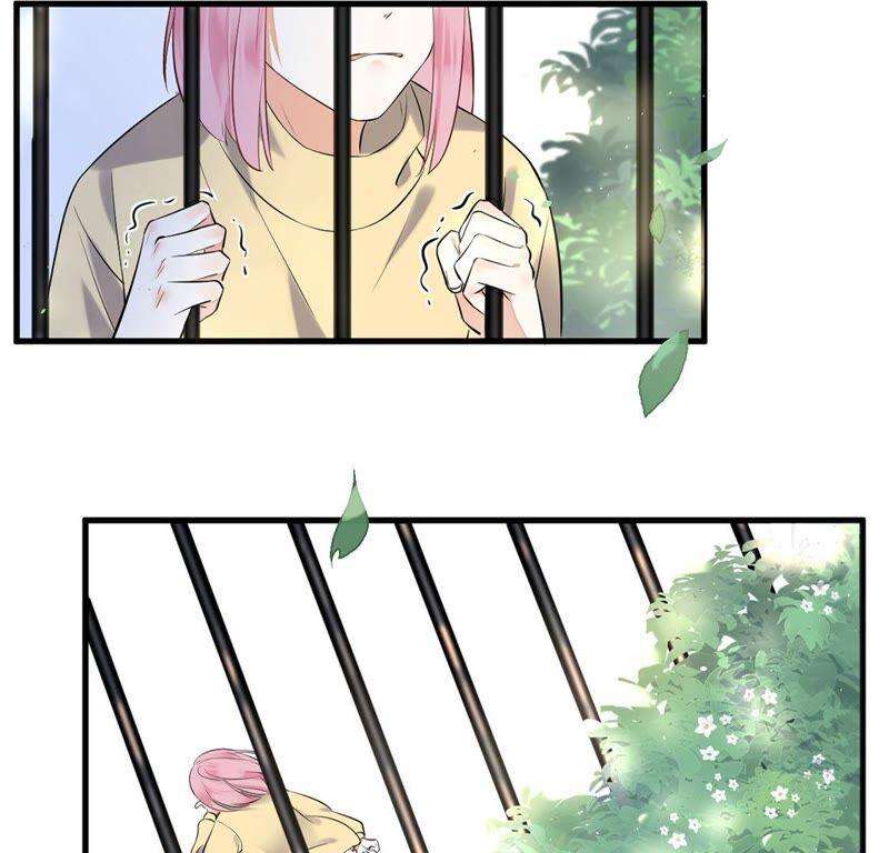 54.jpg