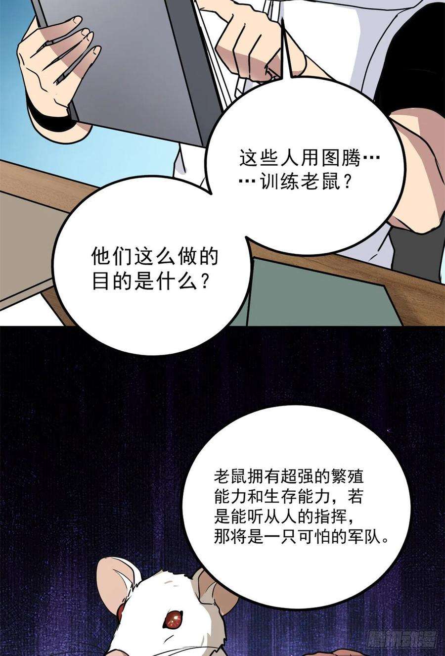 24.jpg