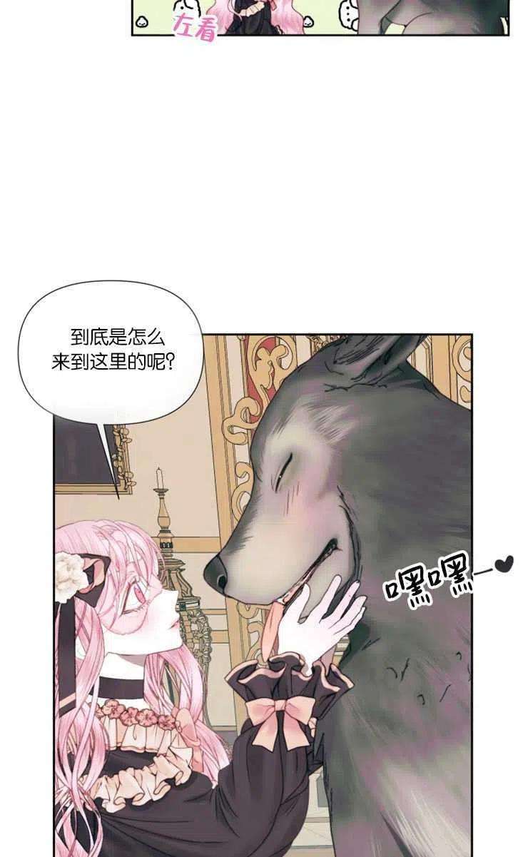 27.jpg