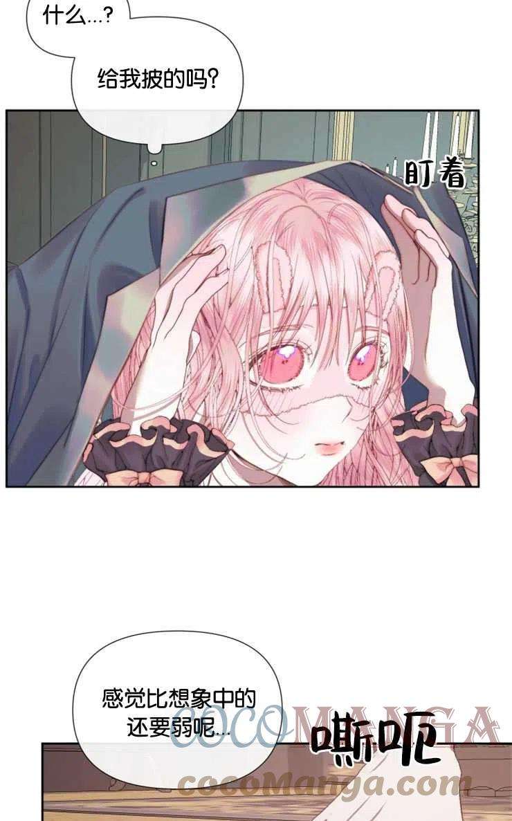 31.jpg