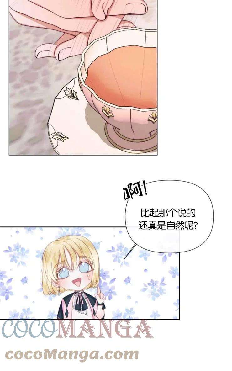 49.jpg