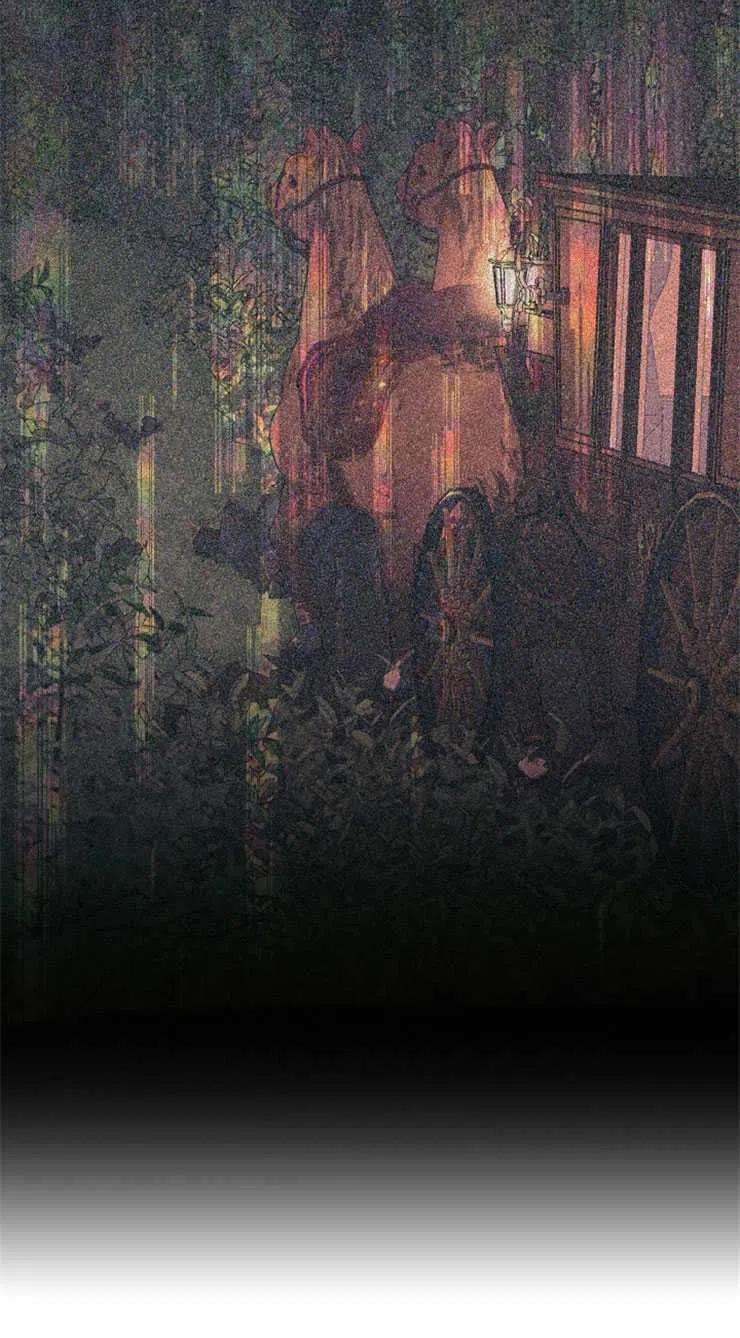 80.jpg