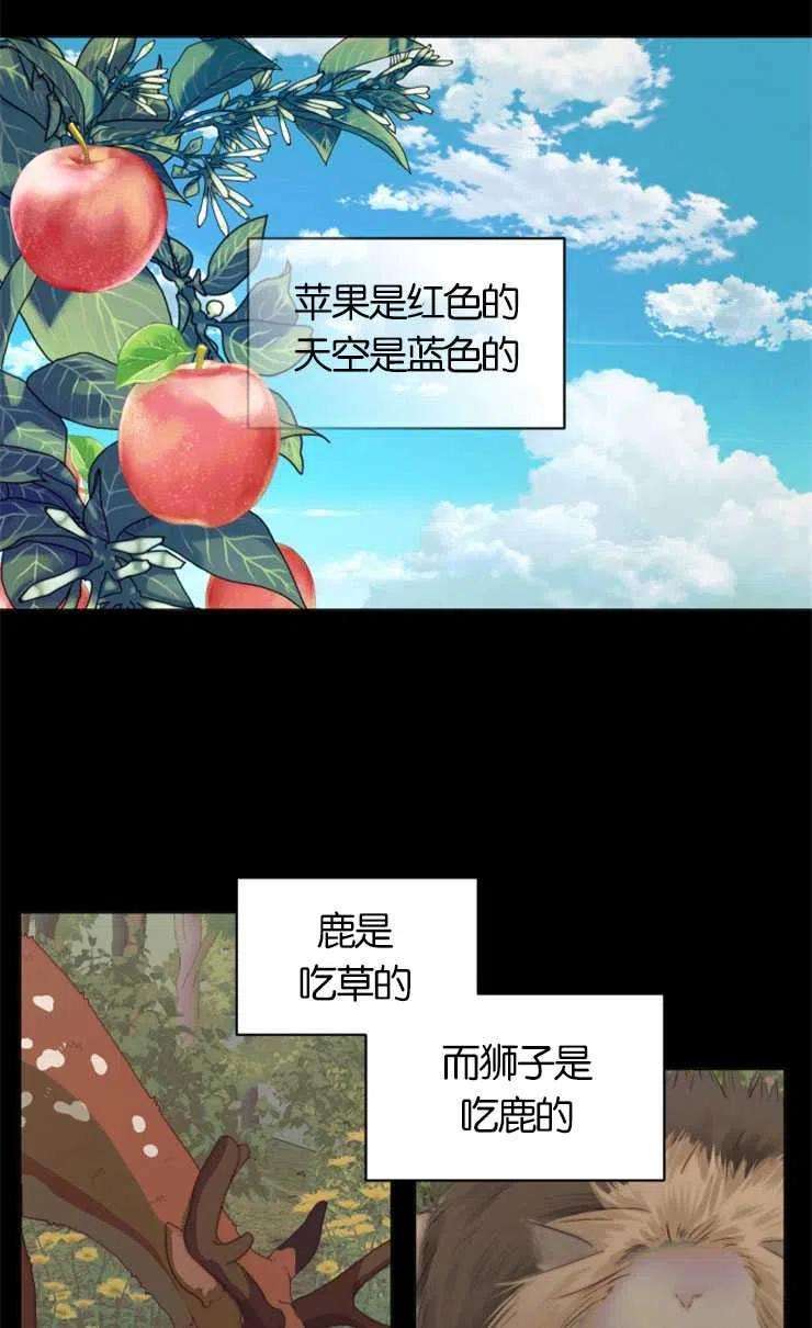 47.jpg