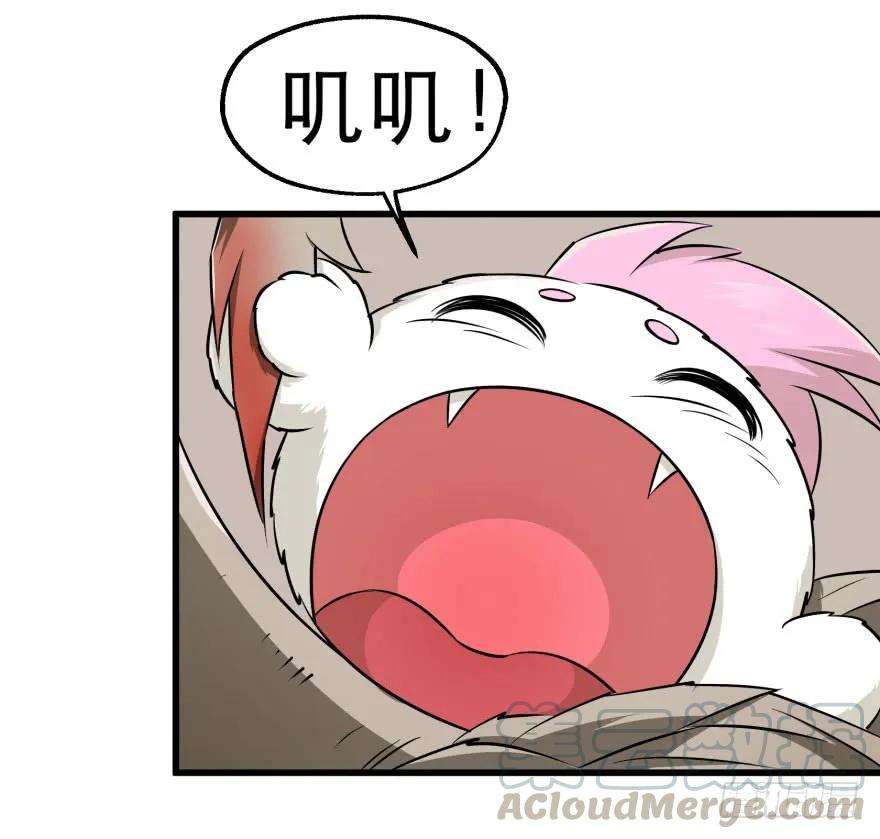 16.jpg