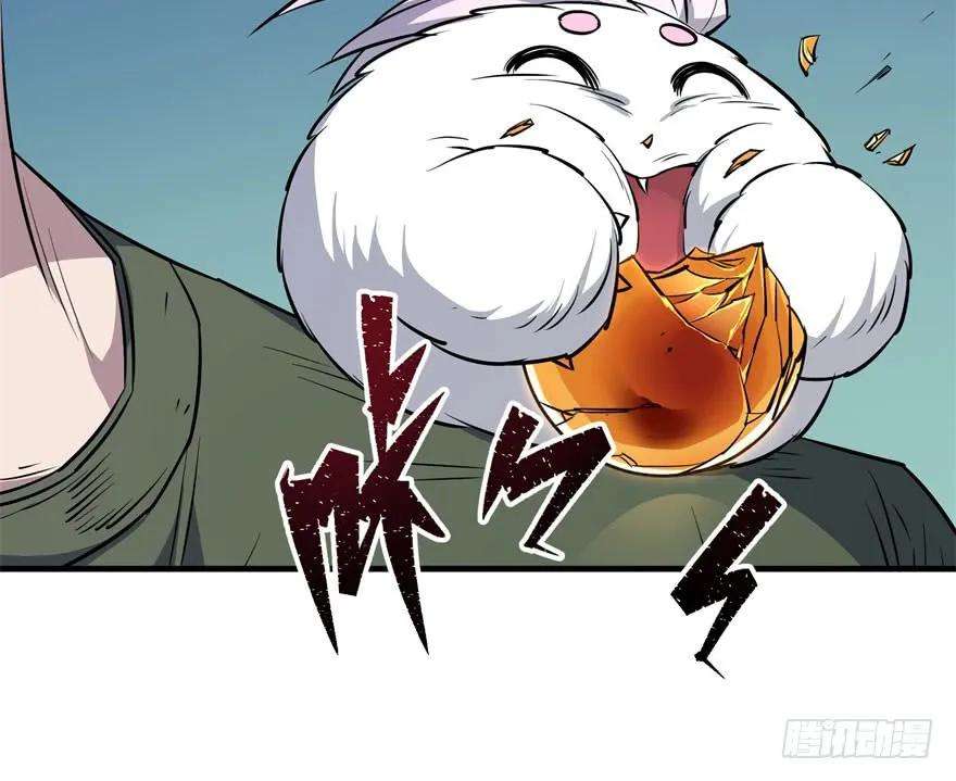 27.jpg
