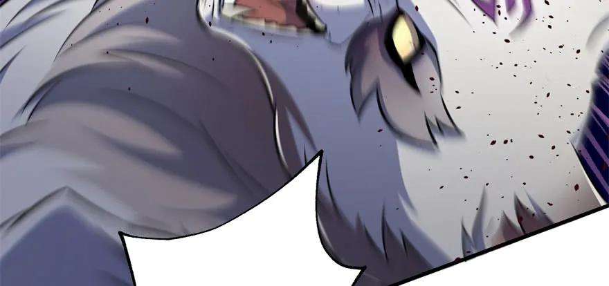 147.jpg