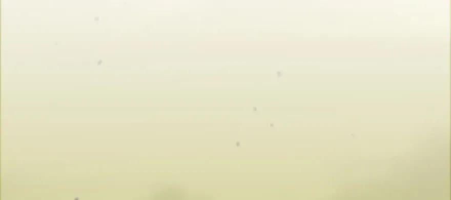 114.jpg