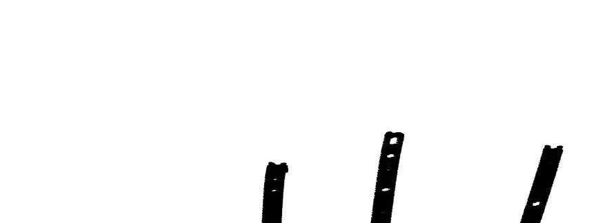 138.jpg