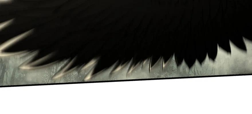 177.jpg
