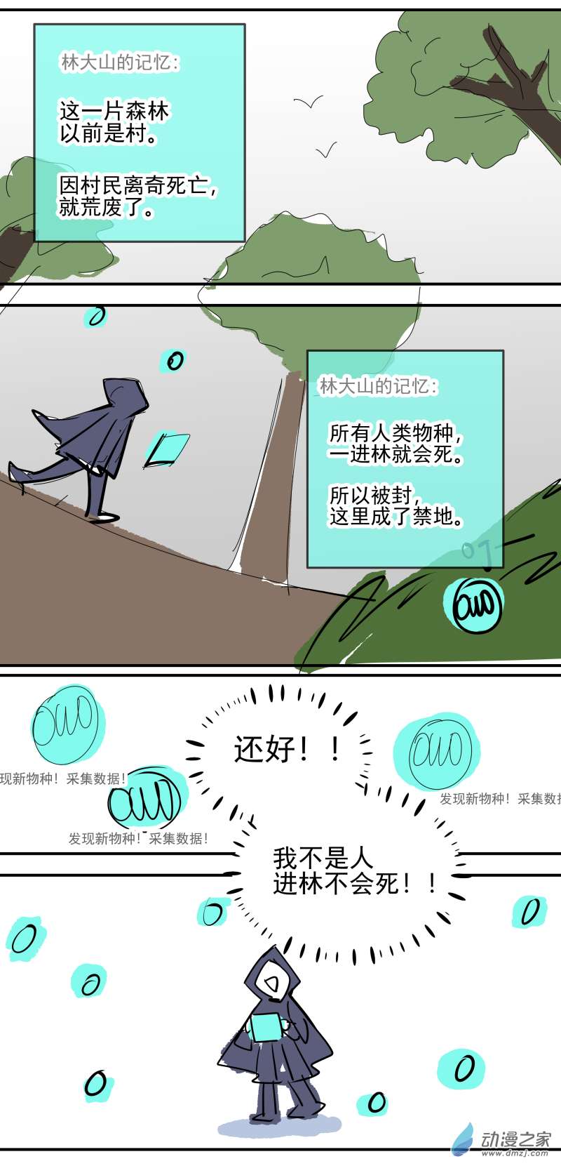 13.jpg
