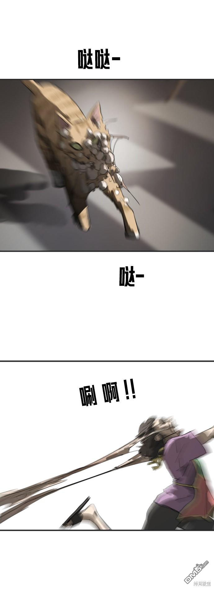 47.jpg
