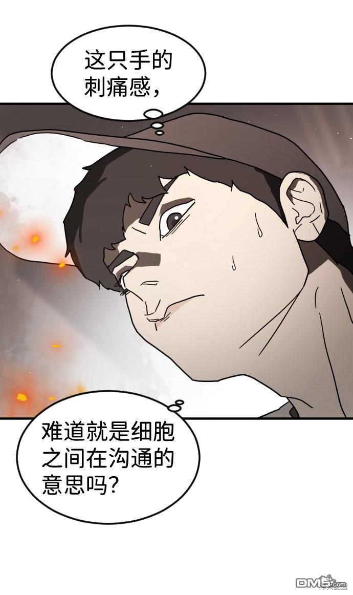 44.jpg