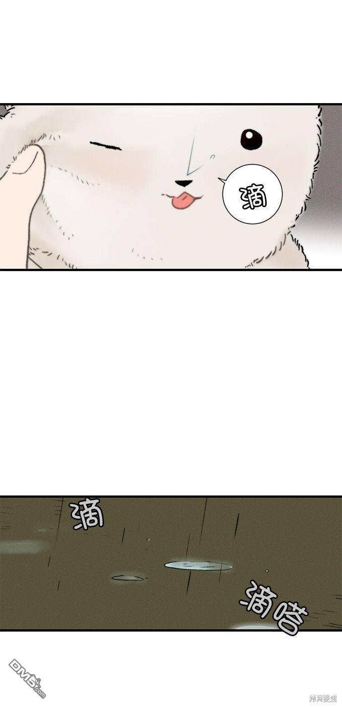 31.jpg