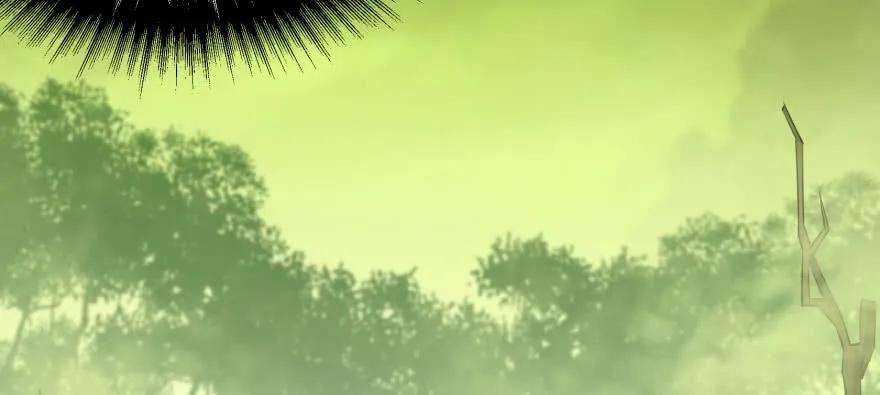 148.jpg