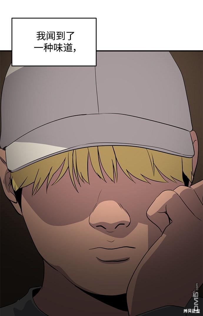 41.jpg