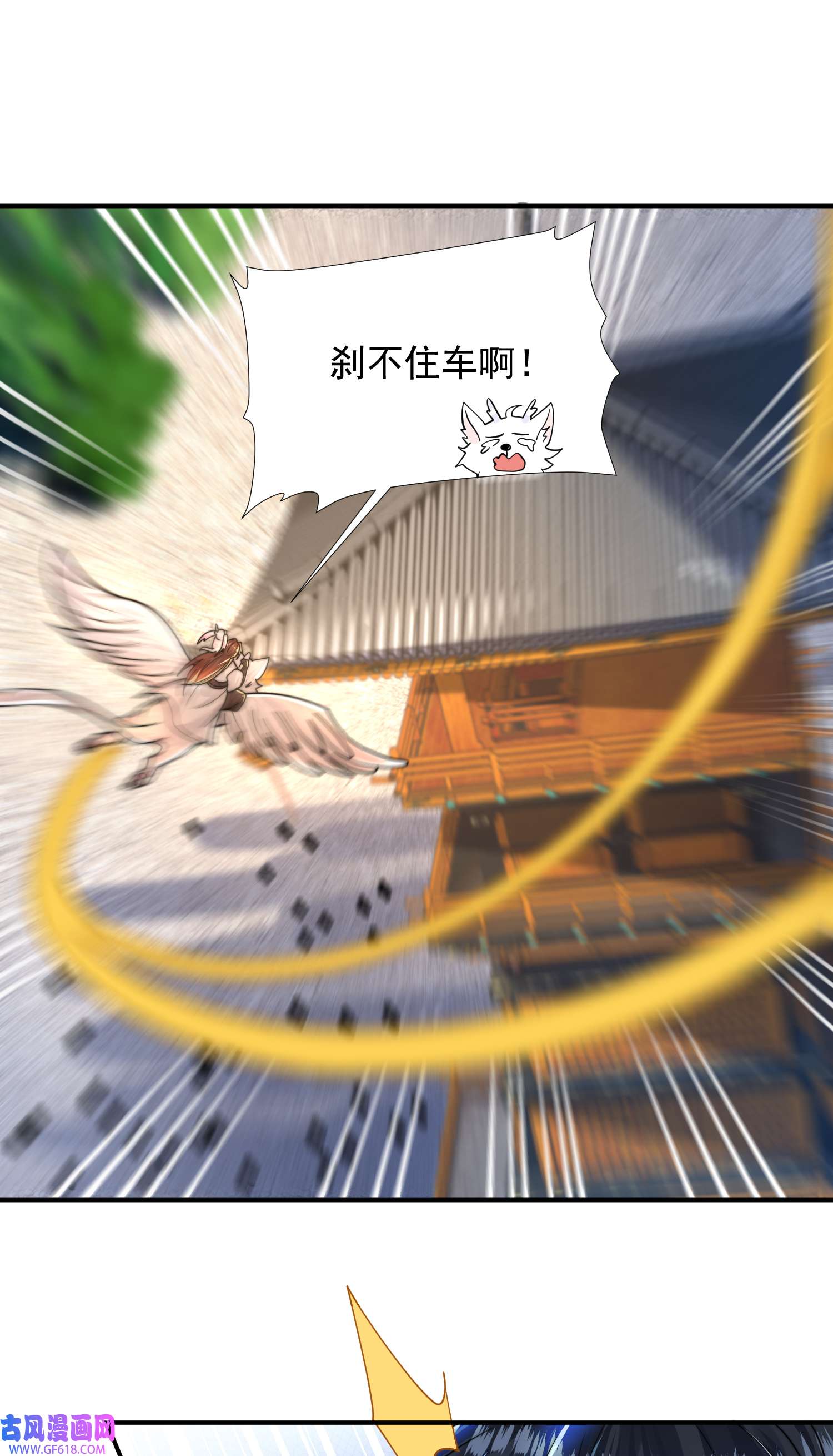 61.jpg