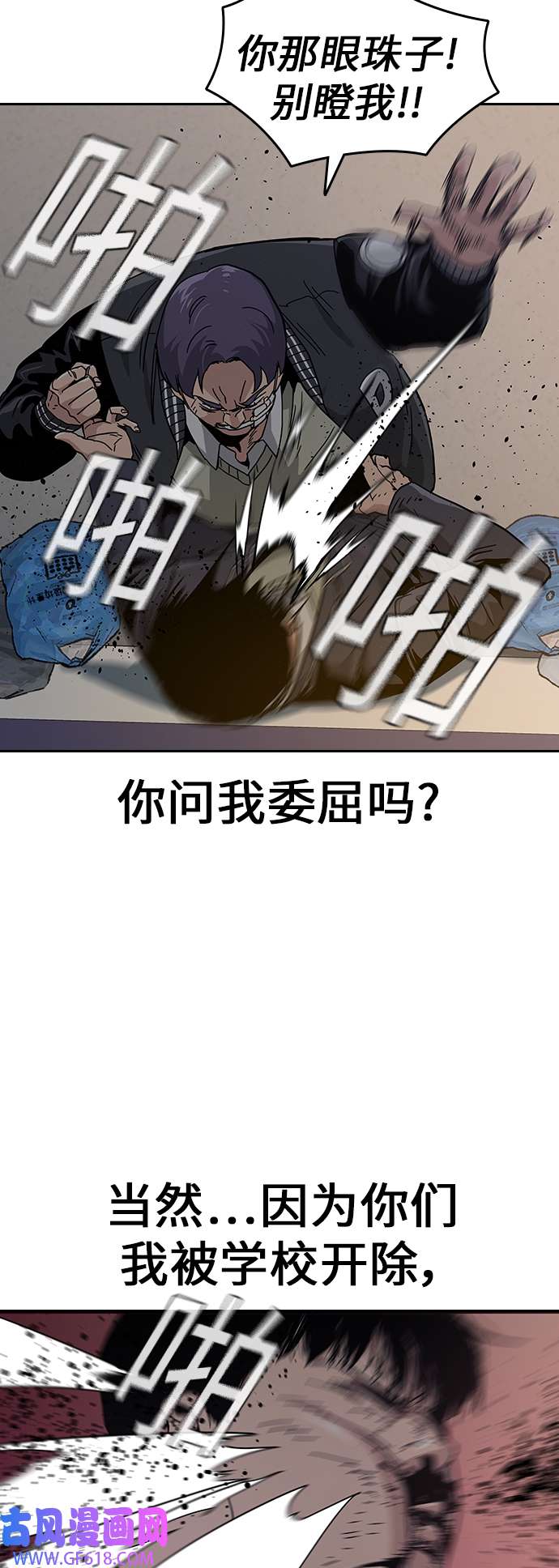 47.jpg