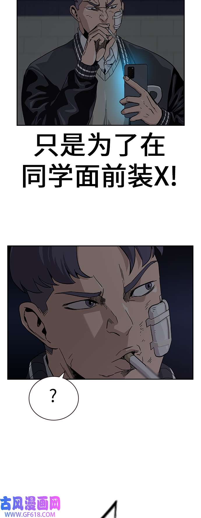 15.jpg
