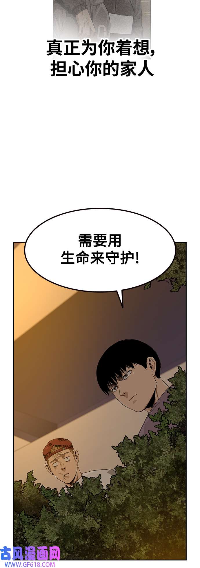 48.jpg