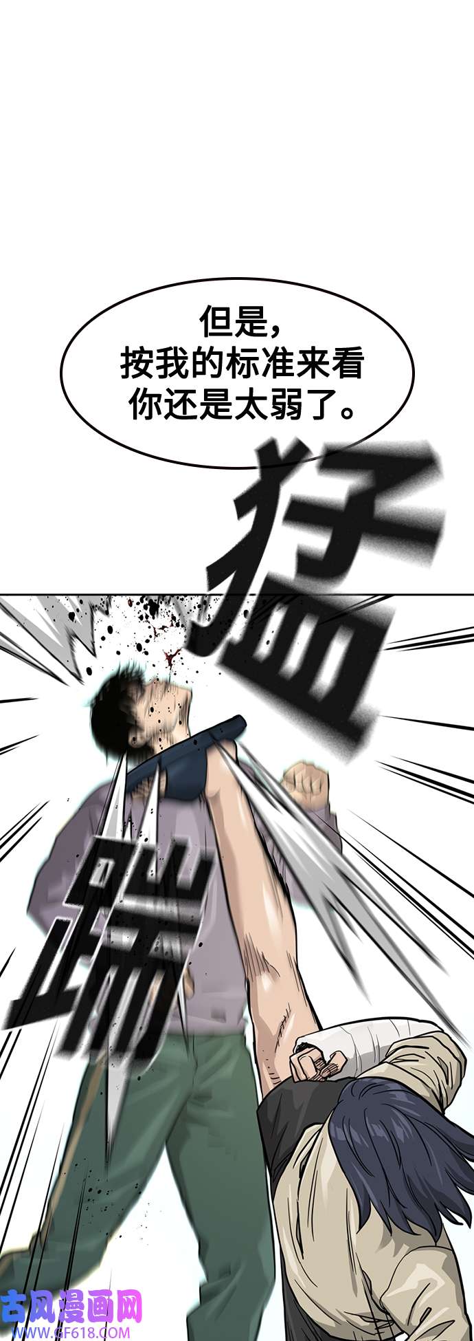41.jpg