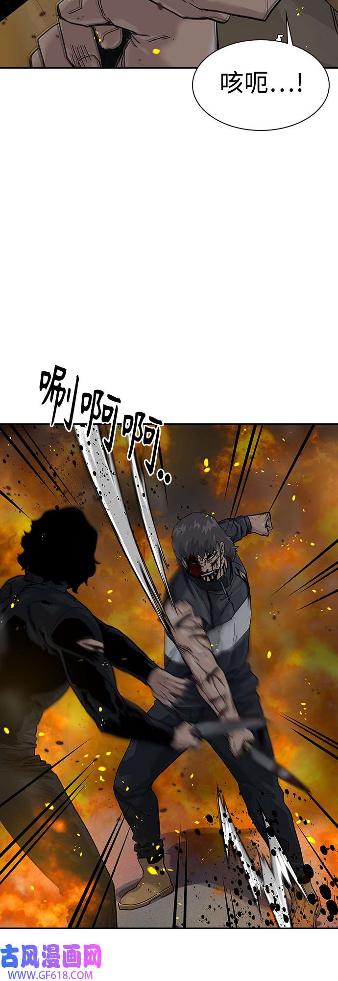 39.jpg