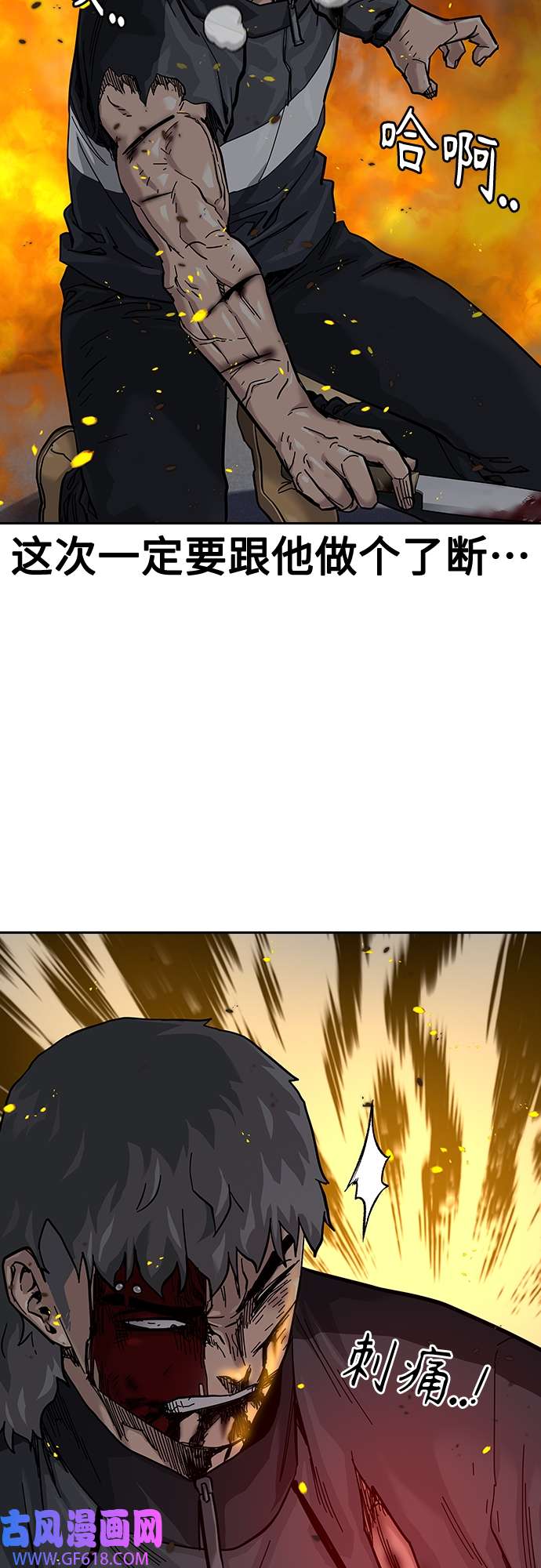 18.jpg