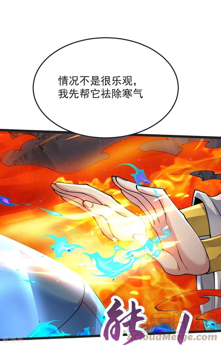 5.jpg