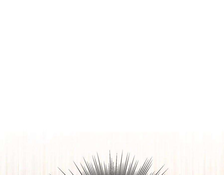 244.jpg