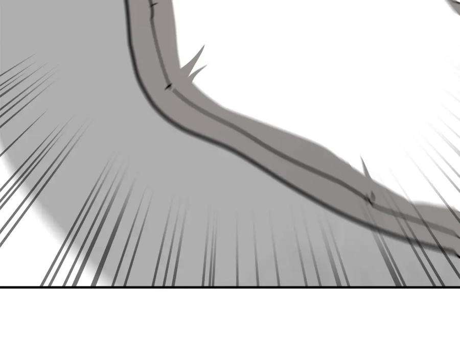 271.jpg