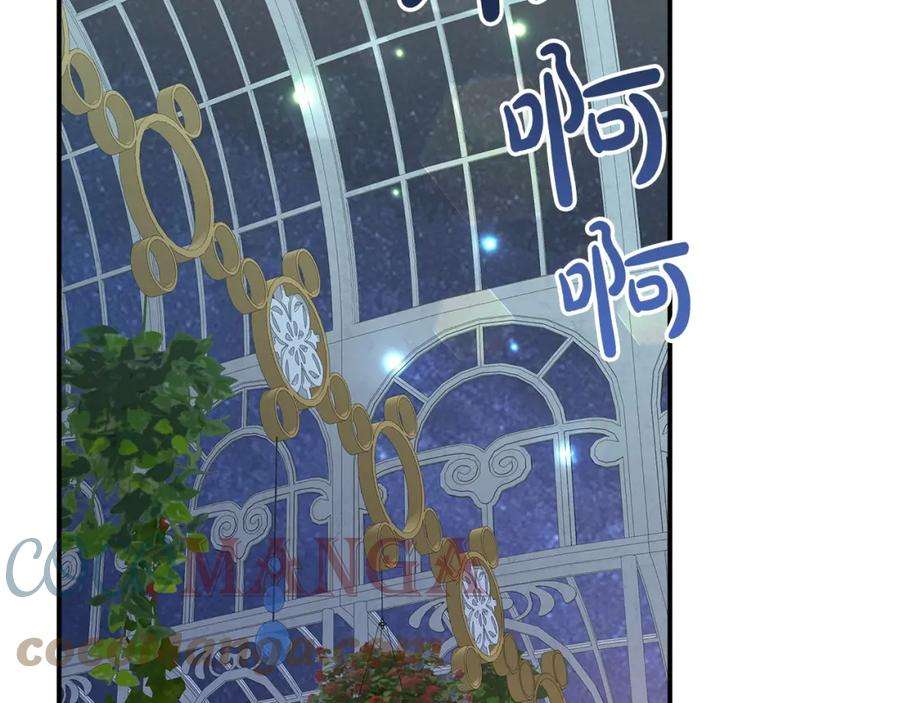 215.jpg