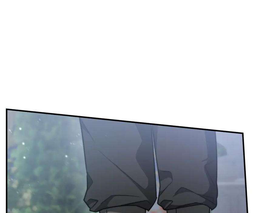 233.jpg
