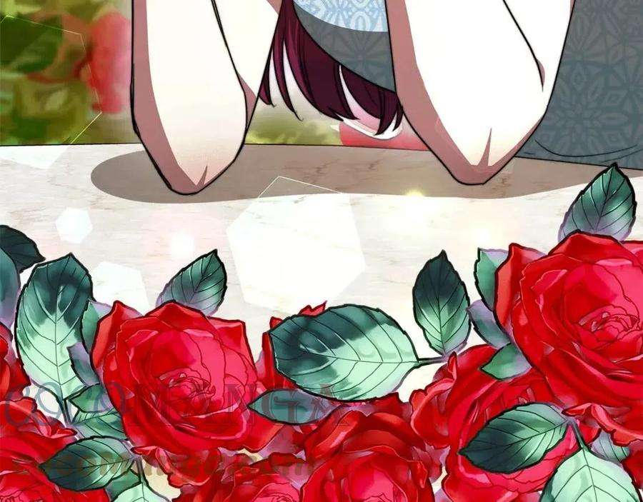 113.jpg