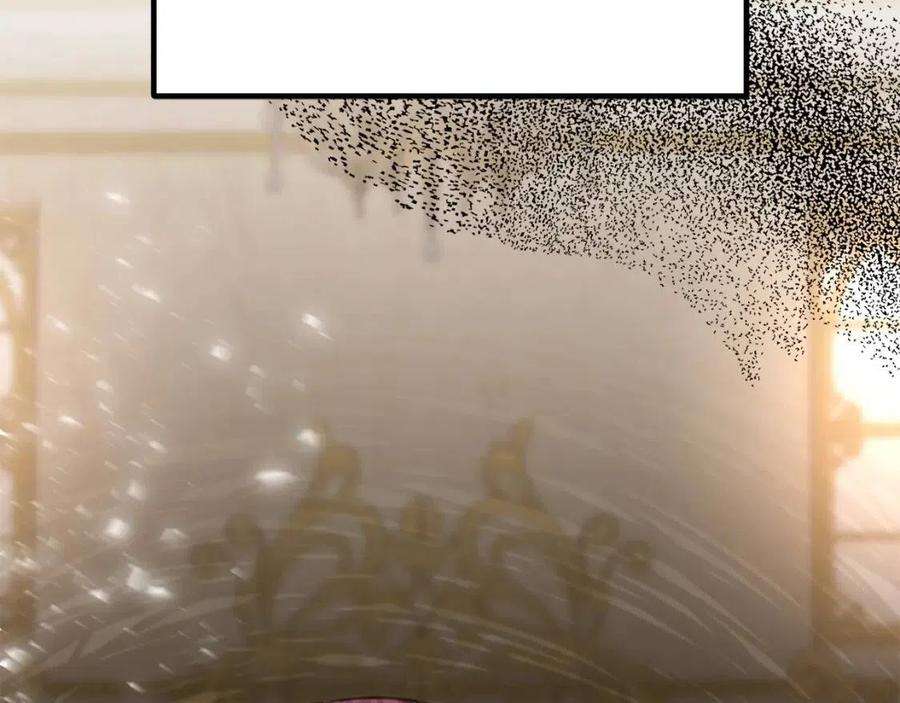217.jpg