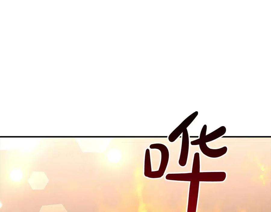 164.jpg