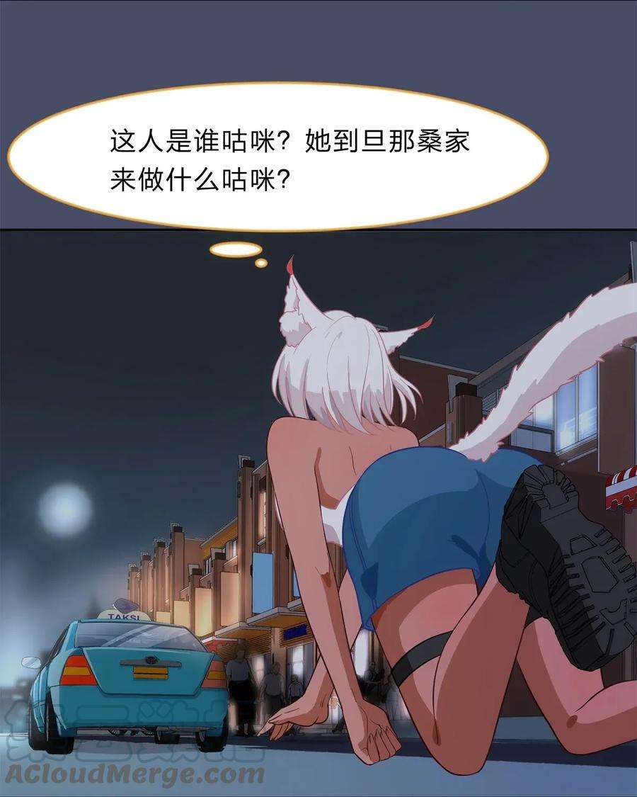 41.jpg