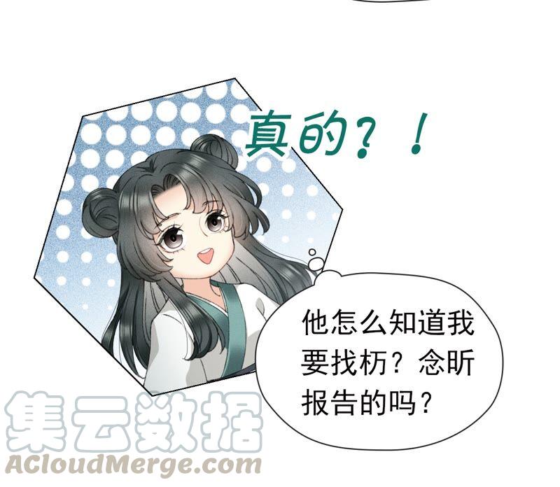 113.jpg