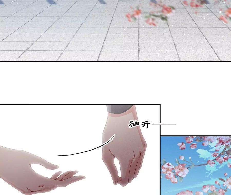 51.jpg