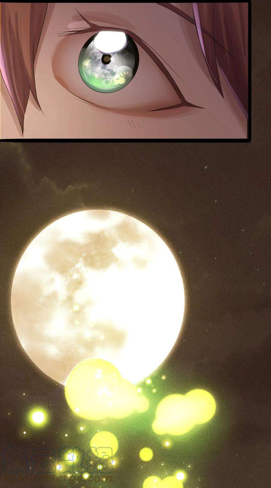 25.jpg