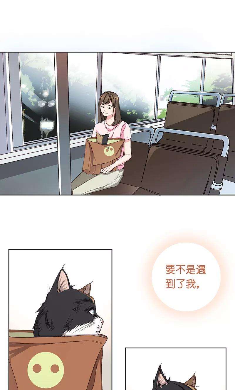 35.jpg
