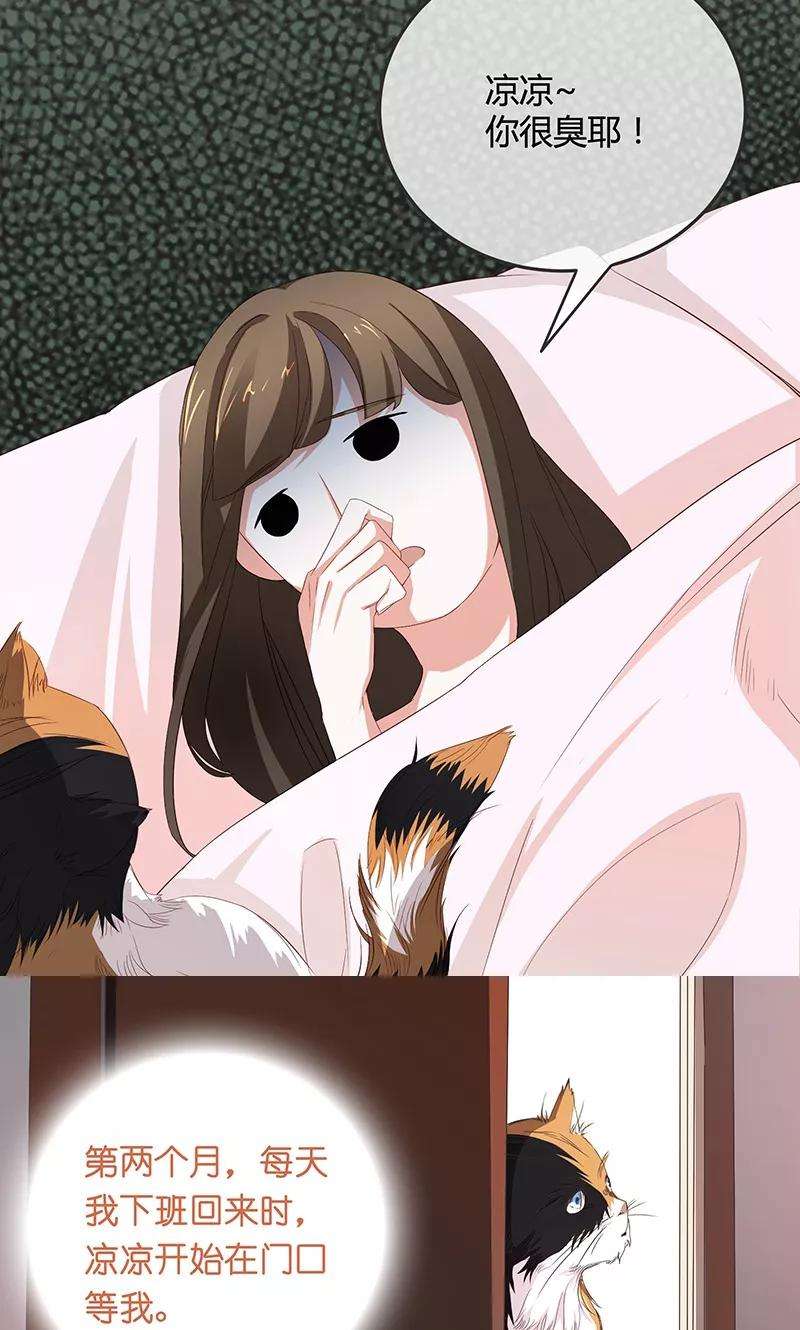47.jpg