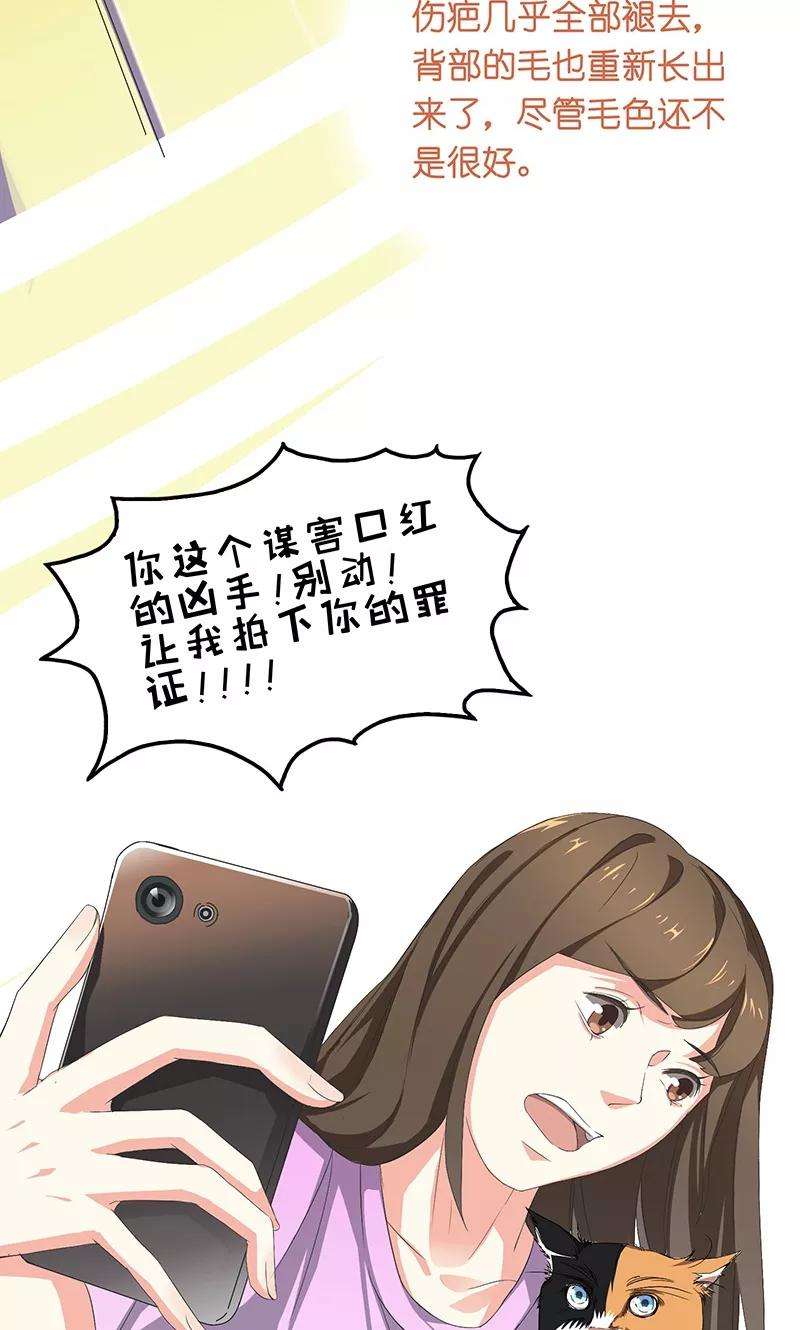 50.jpg