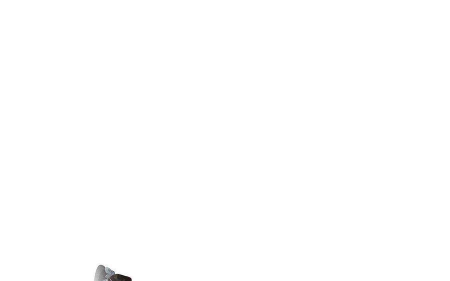 107.jpg