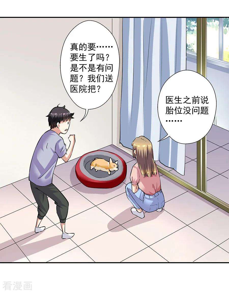 17.jpg