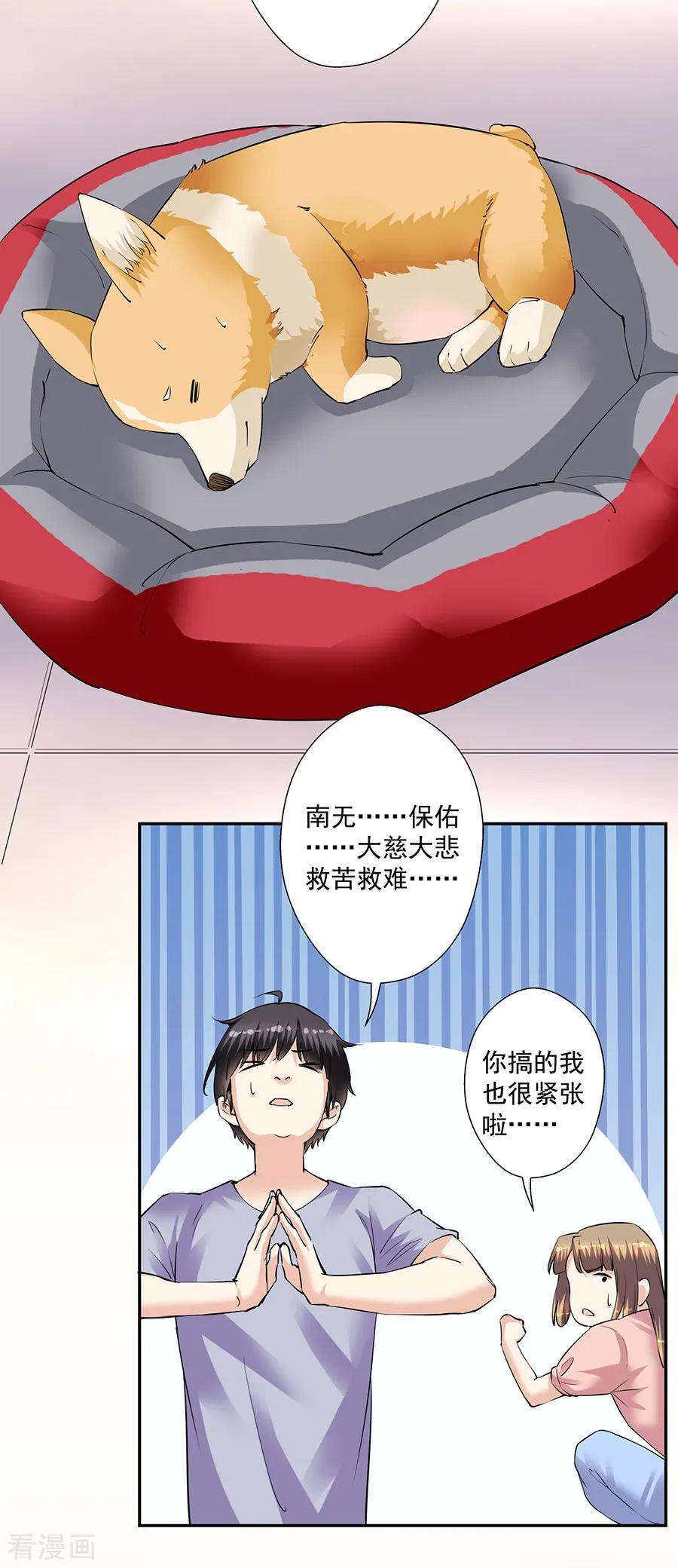 19.jpg