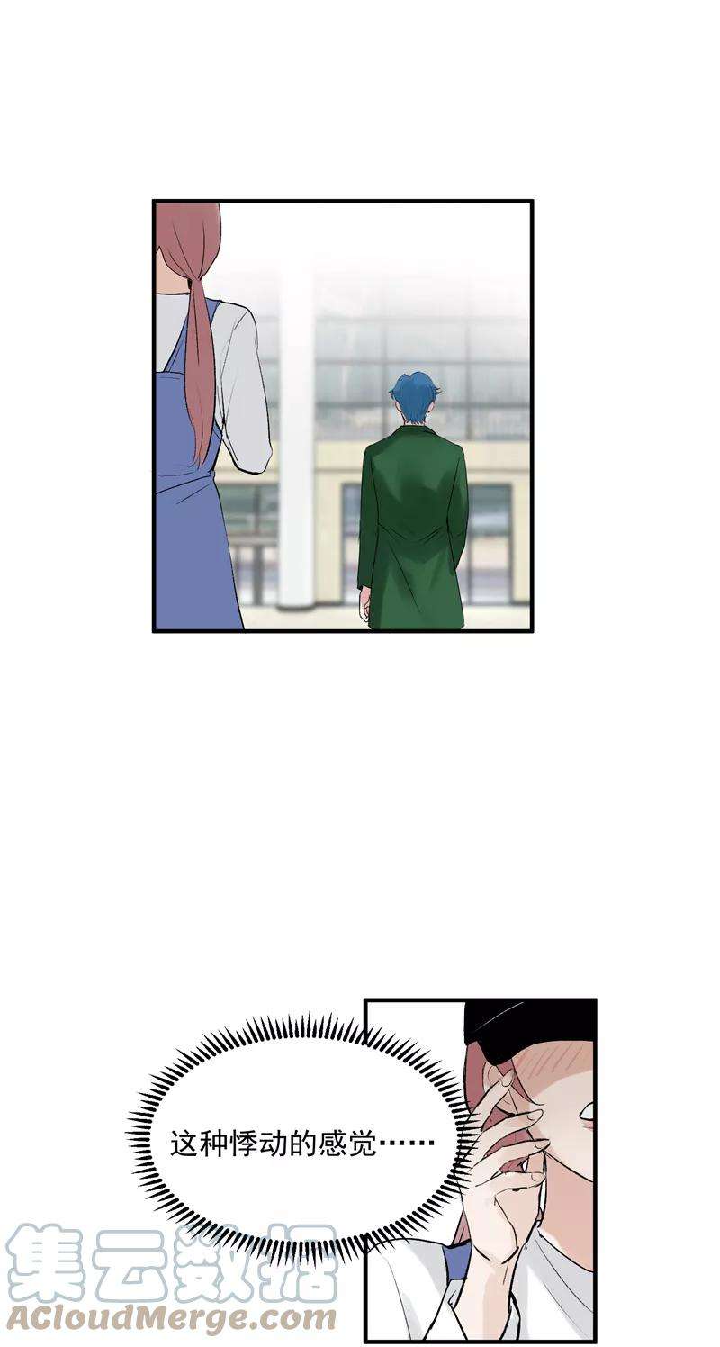41.jpg